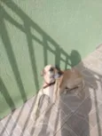 Bili