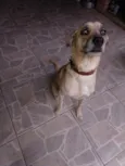 Bili