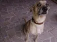 Bili