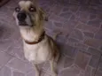 Bili