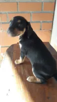 não possuem nomes
