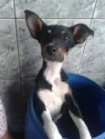 Bob