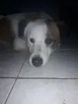 Nao sei 