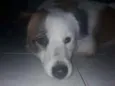 Nao sei 