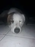 Nao sei 