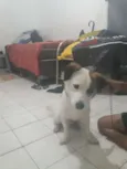 Nao sei 