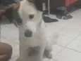 Nao sei 