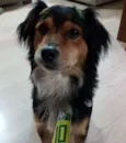 Nao tem nome 