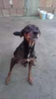 Tieta