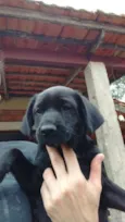 Não tem nome