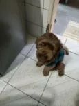Bidu