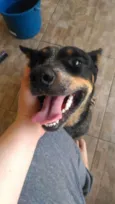Fiona