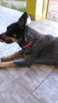 Fiona