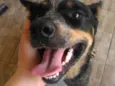 Fiona