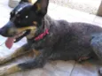 Fiona