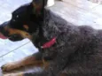 Fiona