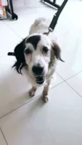Billy
