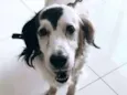 Billy