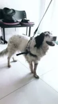 Billy