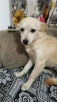 Luma ou Lara