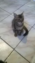 Bob