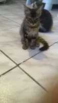 Bob