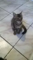 Bob