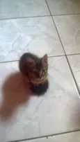 Bob