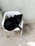 Zaion