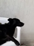 Zaion