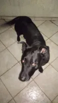 Zaion