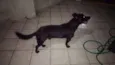 Zaion