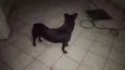Zaion