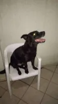 Zaion