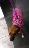 Princesa