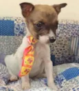 YODA