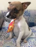 YODA