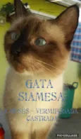 Mãezinha