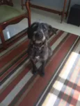Bidu