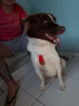 Woody