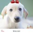 Magali Bebezinha