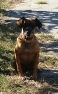 Mel
