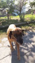 Mel