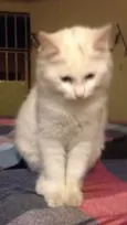 Marie