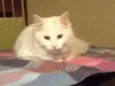 Marie