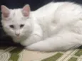 Marie
