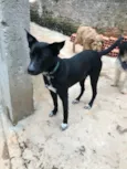 Spike
