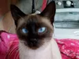 Lola