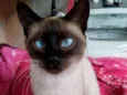Lola