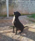 Jack